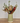 Causeway Vase