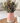 Large Scallop Vase